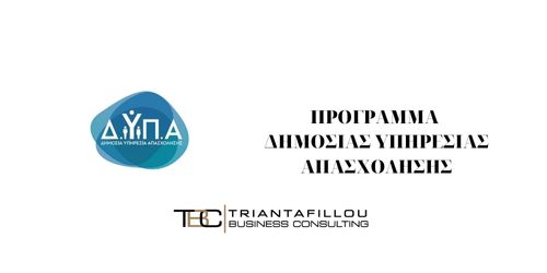 Νεανική επιχειρηματικότητα